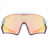 Occhiali Uvex Sportstyle 231 - Silver Plum Mirror rose - Q